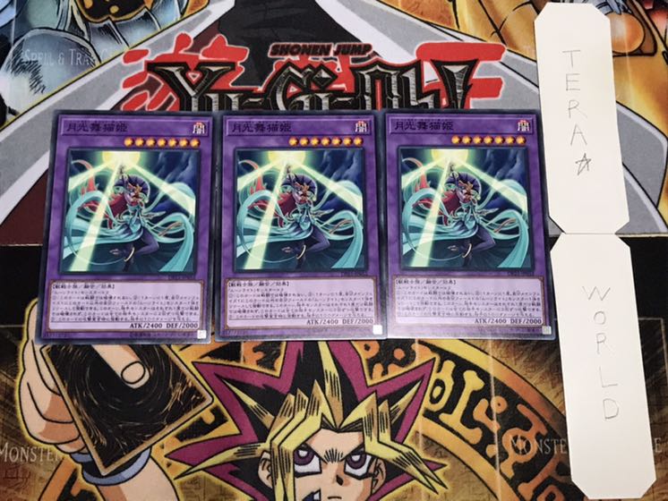 月光舞猫姫 ノーマル 3枚セット てら