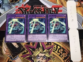 月光舞猫姫 ノーマル 3枚セット てら