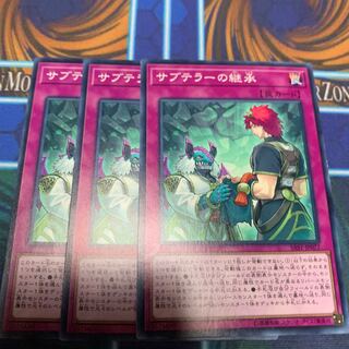 サブテラーの継承