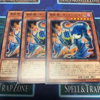 雷獣龍-サンダー・ドラゴン