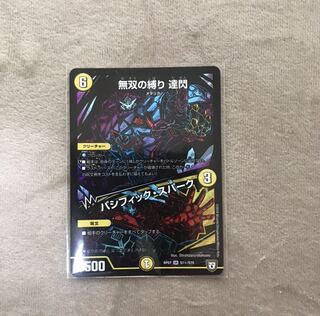 無双の縛り 達閃｜パシフィック・スパーク