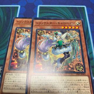 トリックスター・キャロベイン　専用