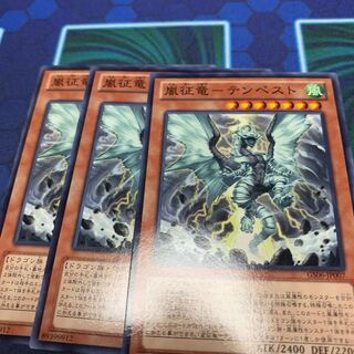 嵐征竜-テンペスト