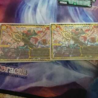 ウェイボール専用 1枚