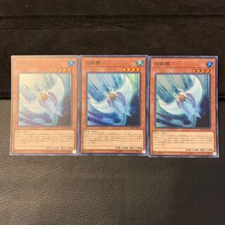 ホワイト・スティングレイ SR