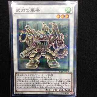 「未使用美品」武力の軍奏 17PR-JP009 ノーパラ