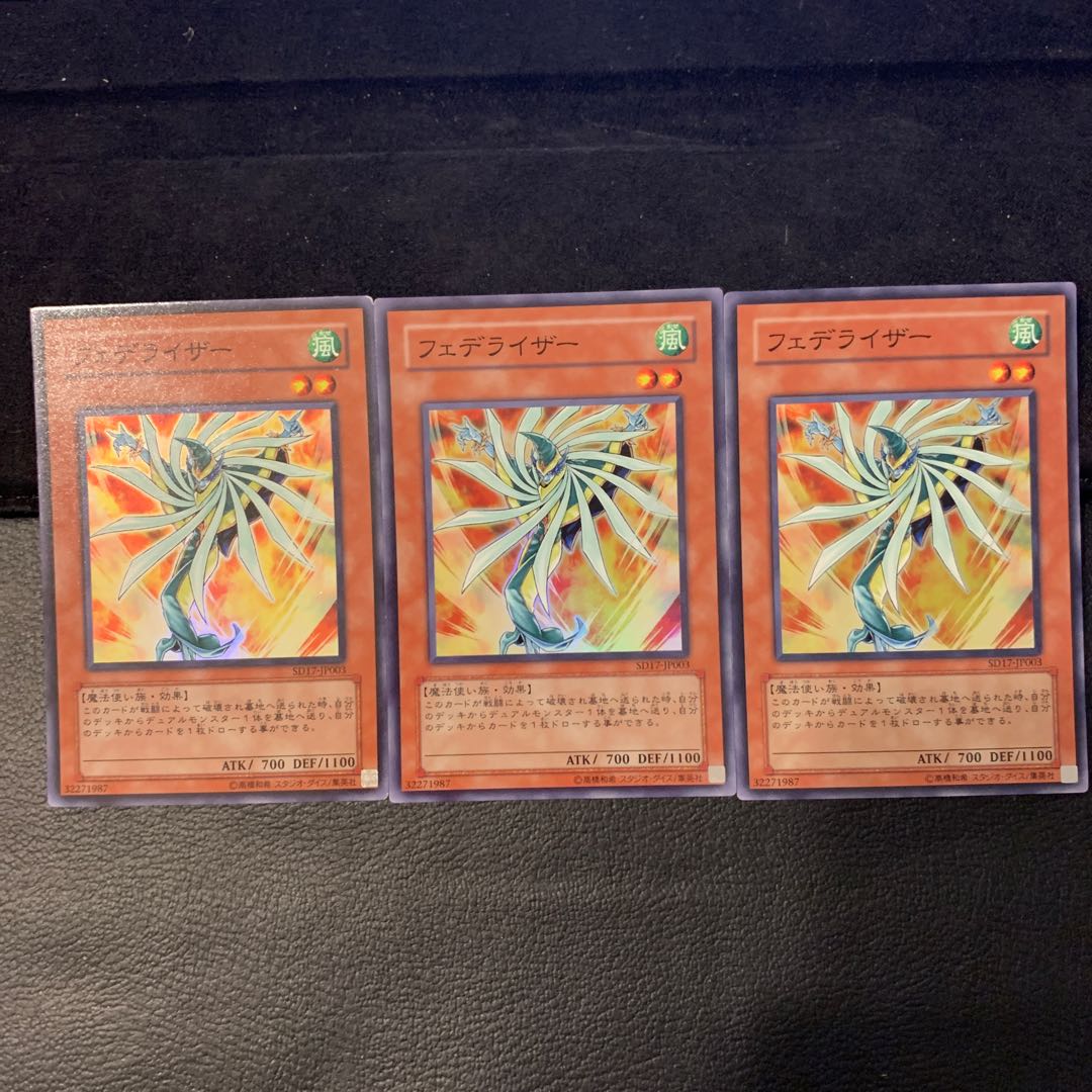 フェデライザー SR