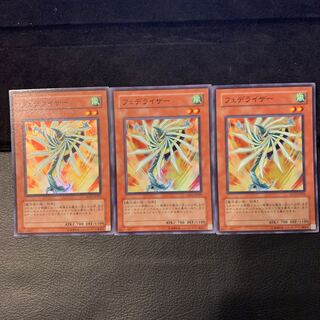 フェデライザー SR