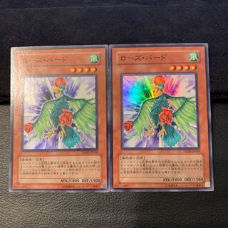 ローズ・バード SR