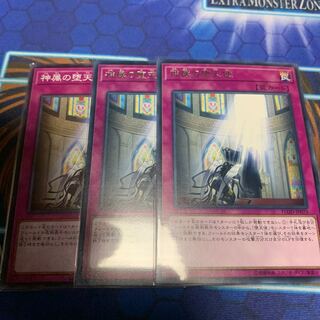 The Sanctified Darklord Character Rare 2 Normal 1