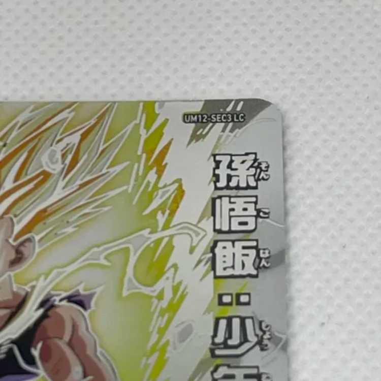 孫御飯:少年期 UM12-SEC3 LC 管理03