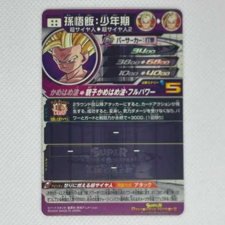 孫御飯:少年期 UM12-SEC3 LC 管理03