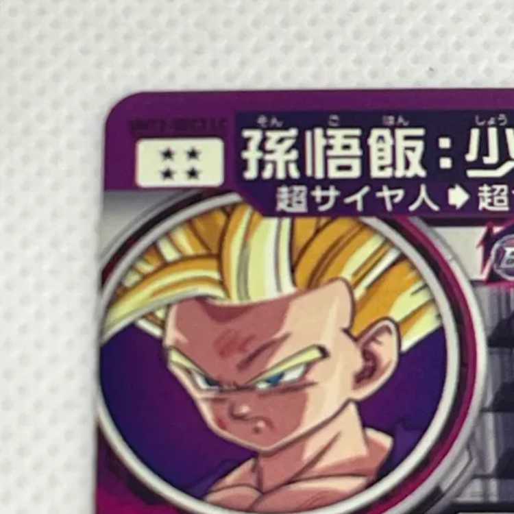 孫御飯:少年期 UM12-SEC3 LC 管理03