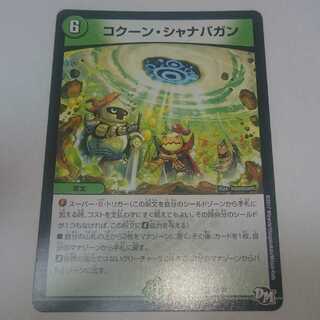 コクーン・シャナバガン