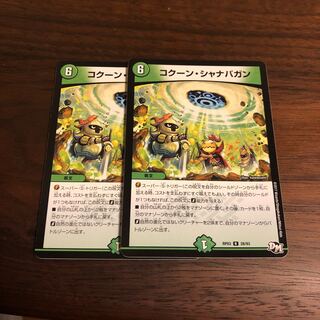 コクーン・シャナバガン