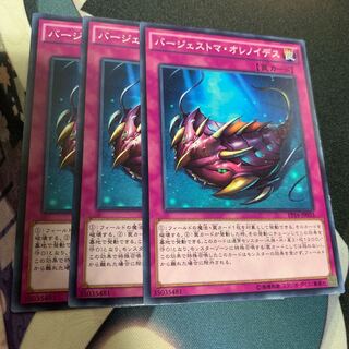 バージェストマ・オレノイデス 3枚