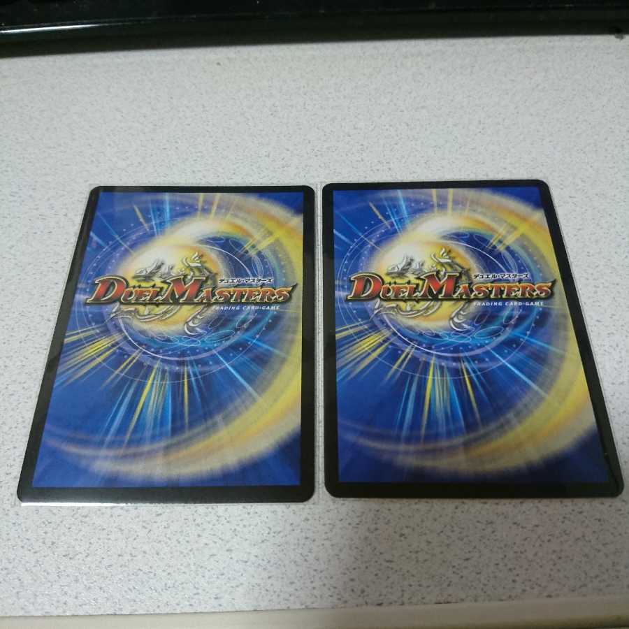 「絶対の楯騎士」二枚セット 新品、未使用