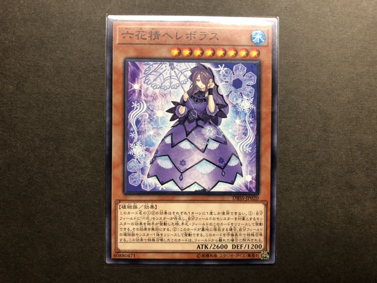 募集　六花精ヘレボラス