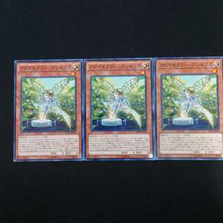 アロマセラフィ-アンゼリカ N