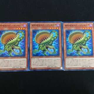 捕食植物スピノ・ディオネア N