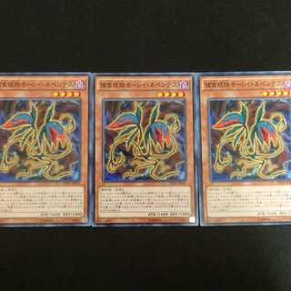 捕食植物モーレイ・ネペンテス N