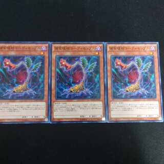 捕食植物コーディセップス N