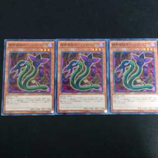 捕食植物ダーリング・コブラ N