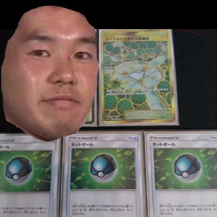 Aether Paradise Conservation AreaUR Net Ball