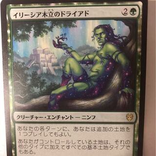 イリーシア木立のドライアド　三枚