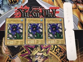 テンタクル・プラント 初期 ノーマル 3枚セット てら