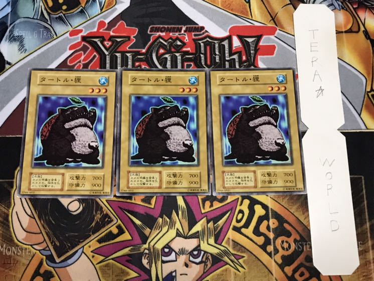 Turtle, Raccoon Early Normal, Set of 3 Tera.