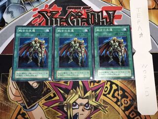 戦士の生還 2期ver ノーマル 3枚セット てら