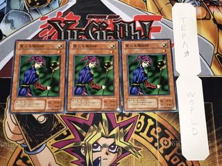 聖なる魔術師 2期ver ノーマル 3枚セット てら