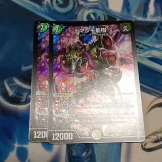 ドマンモ龍樹 2枚