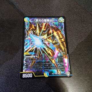 「雷光の聖騎士」