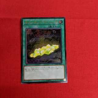 サイバネット・マイニング UL DANE-JP051 #73 043