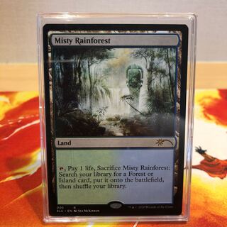 霧深い雨林/Misty Rainforest