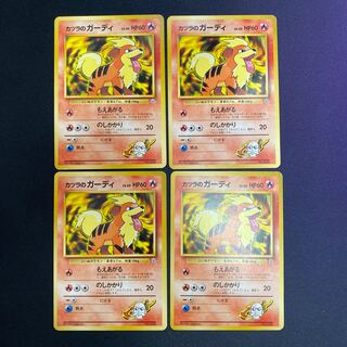 カツラのガーディ 4枚セット