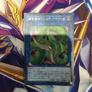 捕食植物ヴェルテ・アナコンダ　シークレットレア【39416-37】