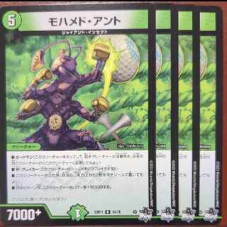 srsセット割引　モハメド・アント R 24/74