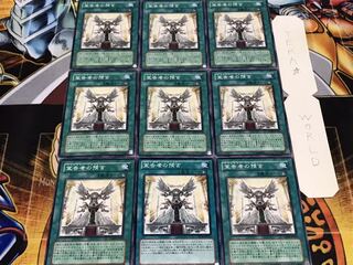 宣告者の預言 ノーマル 9枚セット てら