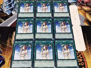 禁じられた聖杯 ノーマル 9枚セット てら