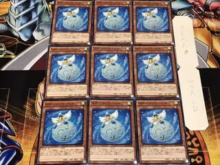 WW-スノウ・ベル ノーマル 9枚セット てら