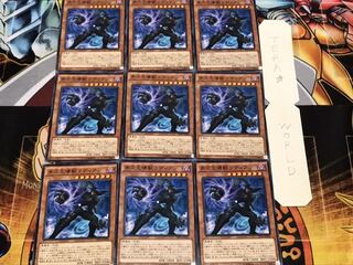 多次元壊獣ラディアン ノーマル 9枚セット てら