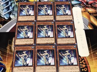 Neo-Spacian Aqua Dolphin Normal, set of 9, Terra