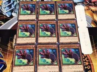 Magic Hand Normal 9-card set Tera