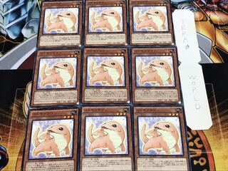 Kidmodo Dragon Normal, set of 9, Tera.