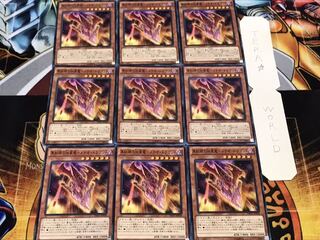 真紅眼の凶星竜-メテオ・ドラゴン ノーマル 9枚セット てら