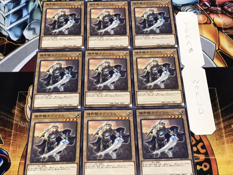 機界騎士アヴラム ノーマル 9枚セット てら