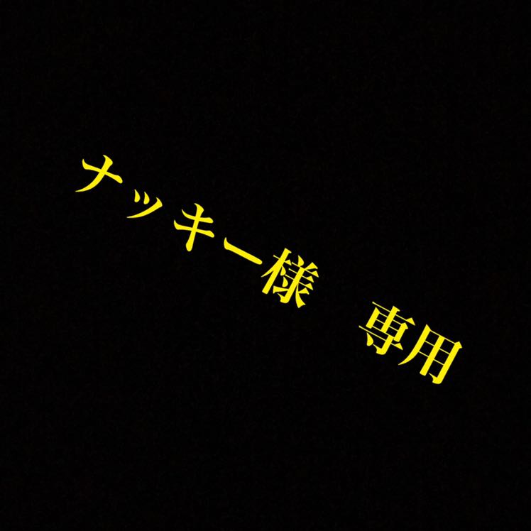 最高の品質 NAKKY様専用 - 一般